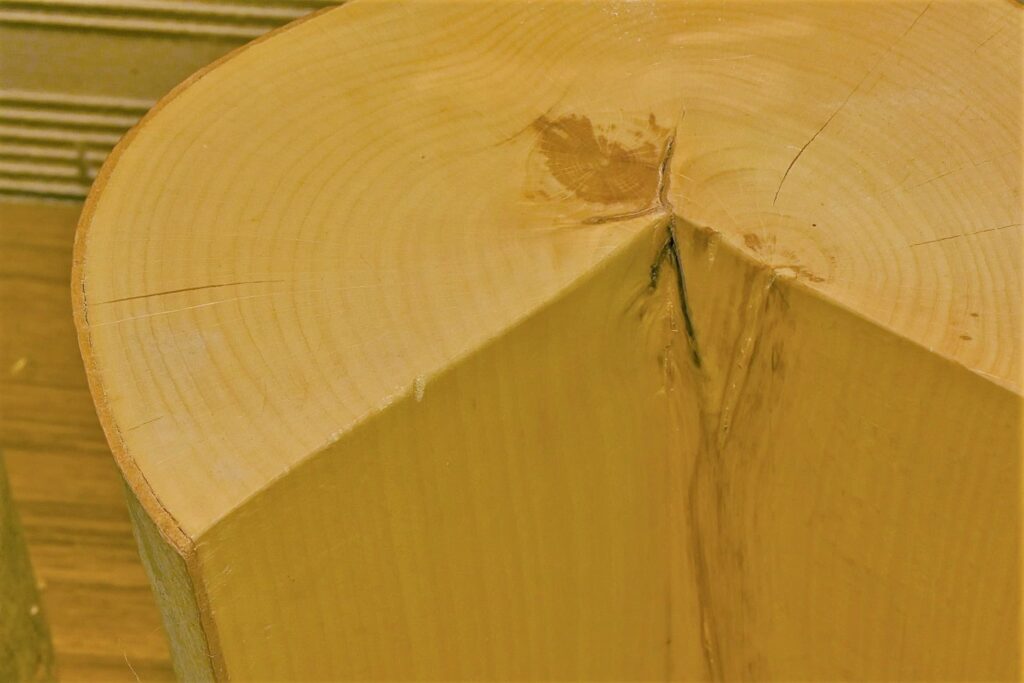 Japanese Beech timber.