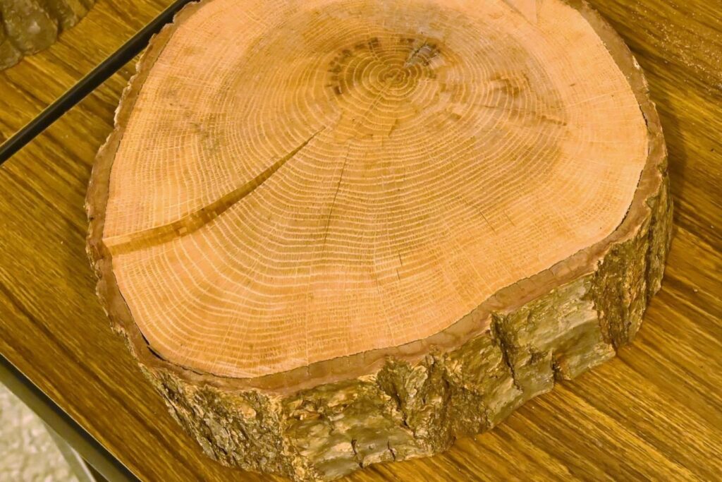 Mizunara Oak