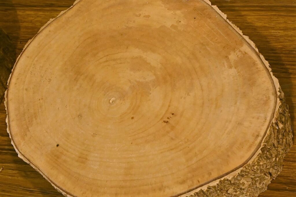 Japanese-Horse-Chestnut-Aesculus-turbinata